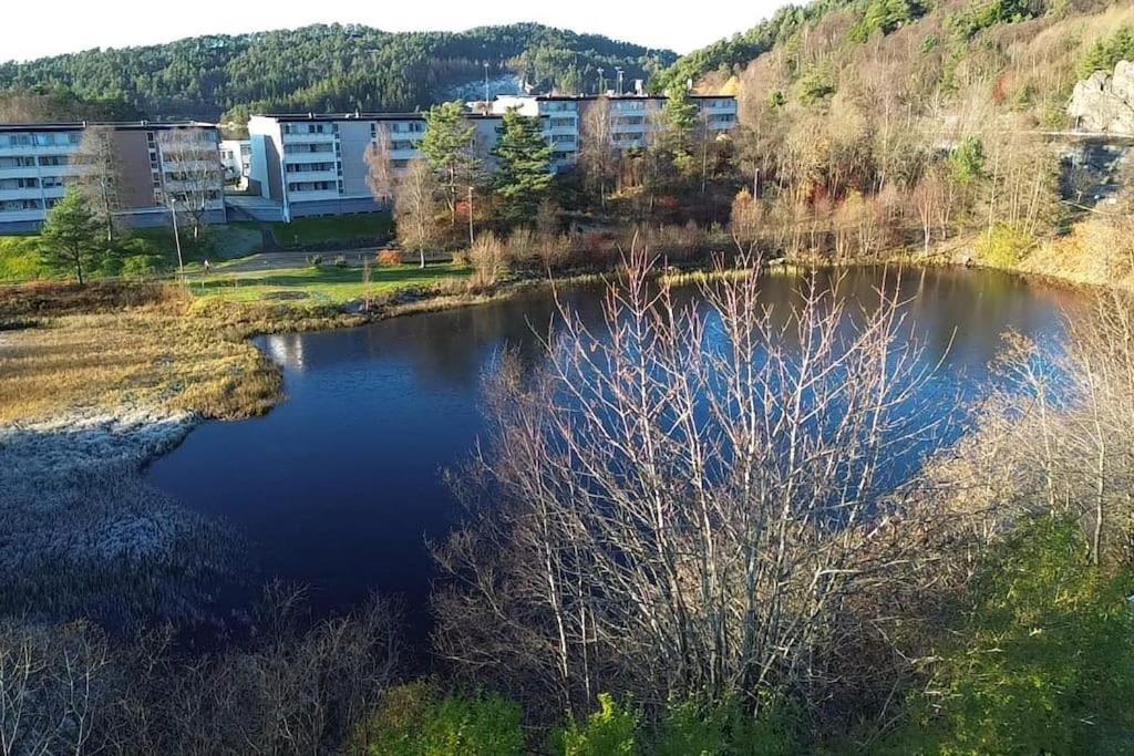 Your Dream Studio In Bergen Buitenkant foto